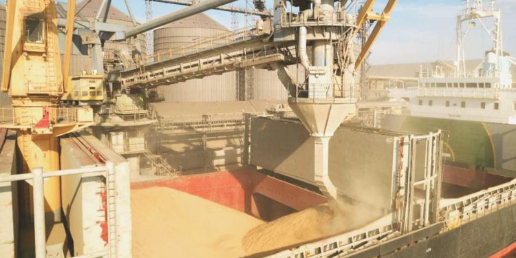 Ukrayna’dan tahıl çıkışları Tahıl Koridoru öncesine ulaştı
