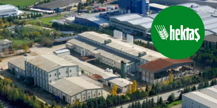 Hektaş’tan temettü açıklaması