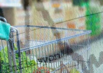 ABD TÜFE verileri açıklandı: Veriler çok merak ediliyordu