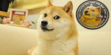 Dogecoin’in simgesi Kabosu hayatını kaybetti
