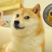 Dogecoin’in simgesi Kabosu hayatını kaybetti