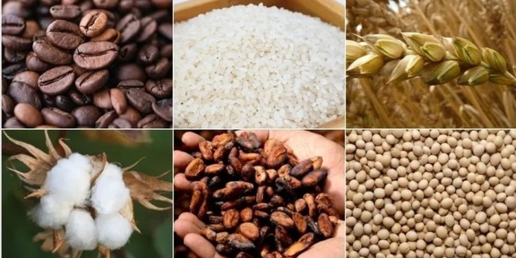 Emtia piyasasında yön arayışı