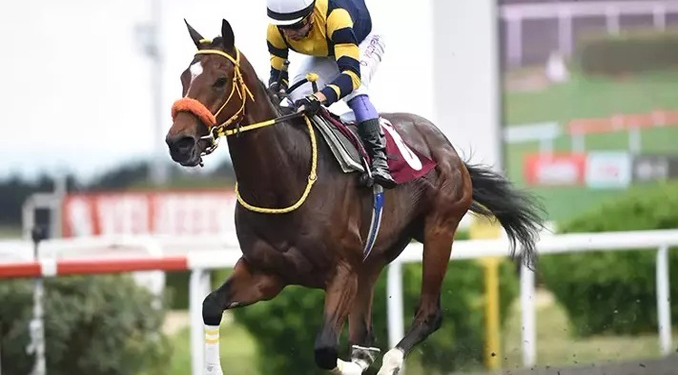 13.5 milyon lira ödüllü Gazi Koşusu yarın yapılacak