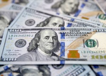 Dolar varlıklarını artırmak isteyen merkez bankaları sayısında keskin artış