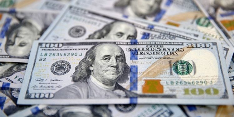 Dolar varlıklarını artırmak isteyen merkez bankaları sayısında keskin artış