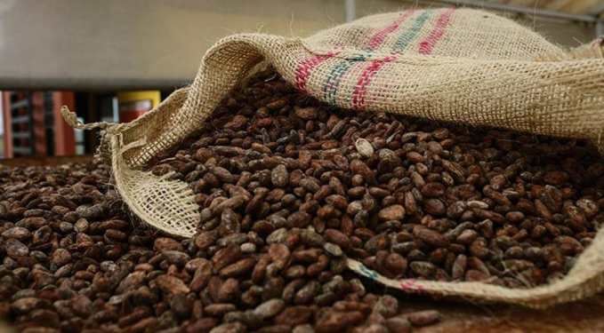 Kakao fiyatları arz sıkıntısı ile 10 bin dolara ulaştı