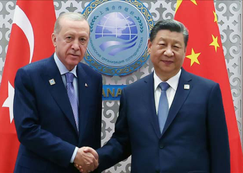 Cumhurbaşkanı Erdoğan, Çin lideri Şi ile görüştü