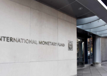 IMF, Zambiya’yı dedolarizasyon konusunda uyardı