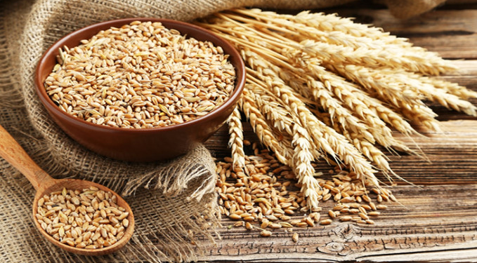 Buğday fiyatlarında ‘Kanada’ etkisi