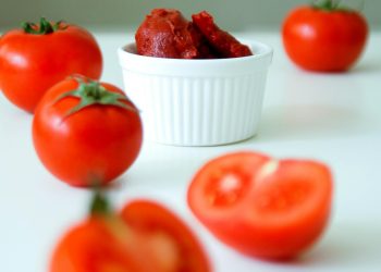 Salça fabrikaları incelemeye alındı