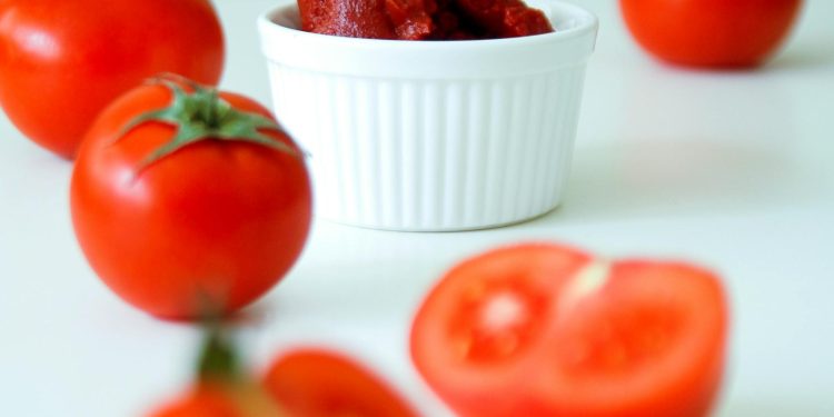 Salça fabrikaları incelemeye alındı