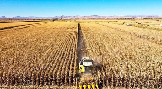 Tarımsal üretici fiyatları aylık yüzde 3.42 arttı