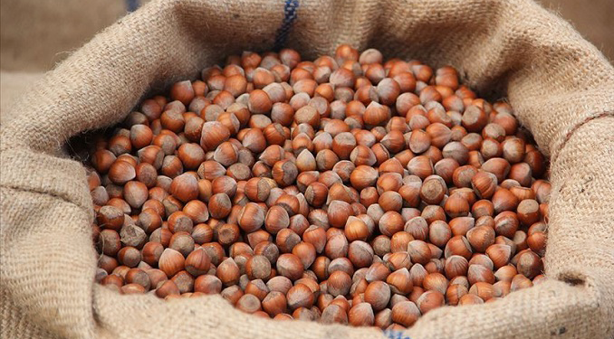 Ticaret borsalarında 403 bin ton fındık işlem gördü