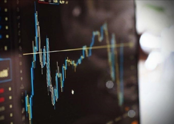 Yatırımcılar getiri performansında hangi fonları tercih ediyor?