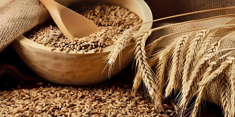 Türkiye Rusya’dan buğday alımını kıstı