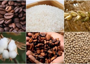 Emtia piyasasında atak haftası