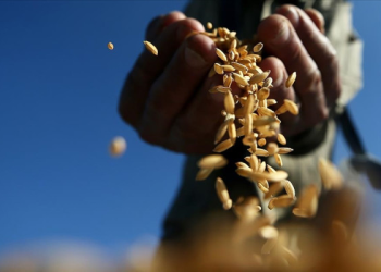 Emtia piyasası bu yıl atağa kalktı