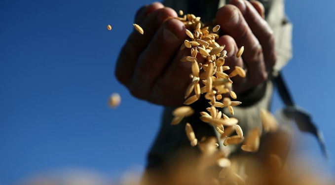 Emtia piyasası bu yıl atağa kalktı