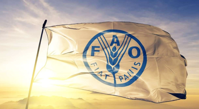 Gıda fiyatlarında 18 ayın en hızlı artışı