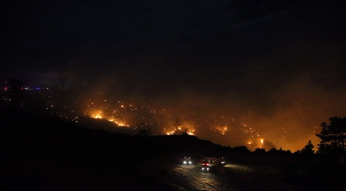 Muğla’da ormanlık alanda yangın