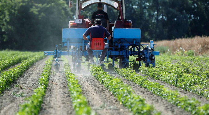 Tarımsal girdi enflasyonu aylık ve yıllık yükseldi