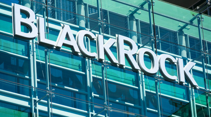 BlackRock: Hisse senedi piyasalarında satıcı yok