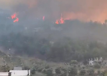 Hatay’da orman yangını: 4 ev tahliye edildi