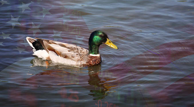 Topal ördek dönemi borsalara ne getirecek?