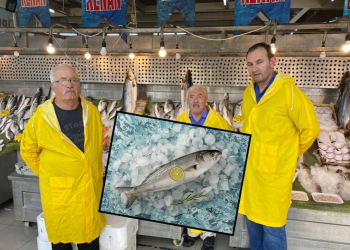 Boğazın kraliçesi lüfer tezgahta: Tanesi bin liradan başlıyor