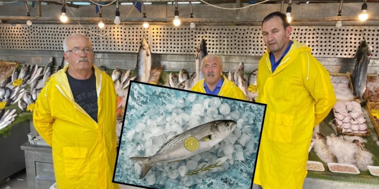 Boğazın kraliçesi lüfer tezgahta: Tanesi bin liradan başlıyor