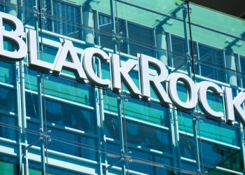 BlackRock: Bitcoin’in geleceği hala belirsiz