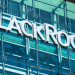 BlackRock: Bitcoin’in geleceği hala belirsiz