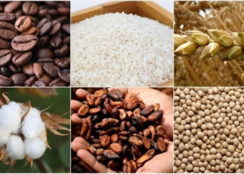 Emtia piyasasında ‘Fed’ fiyatlaması