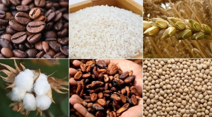 Emtia piyasasında ‘Fed’ fiyatlaması