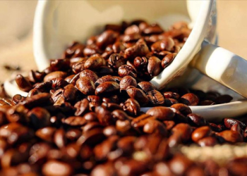 Kakao ve kahve yılı zirvede kapatmaya hazırlanıyor