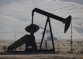 Petrol fiyatlarında yön ne olacak? Fitch’ten kritik tahmin!