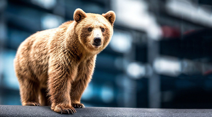 Resesyon bekleyen ekonomistler kötü yanıldı