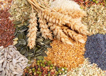 Çin’de hububat üretiminde rekor