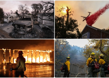 Los Angeles yangınlarında yaşamını yitirenlerin sayısı 16’ya çıktı