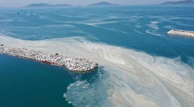 Marmara Denizi’ne kıyısı olan belediyelere müsilaj uyarısı
