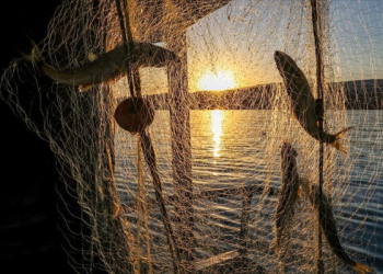 Balıkçılık av sezonu yasağı başlıyor!