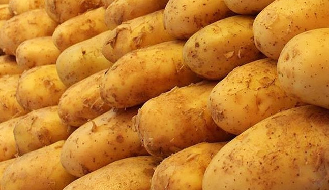 Rusya’da ‘patates’ krizi