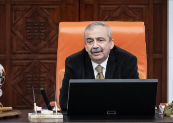 Sırrı Süreyya Önder’den sevindirici haberler