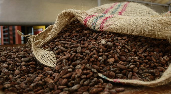 Emtia piyasasında kakao rallisi