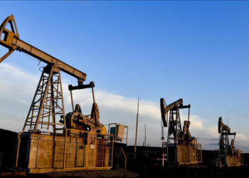 Petrokimya devinde halka arz hazırlığı!