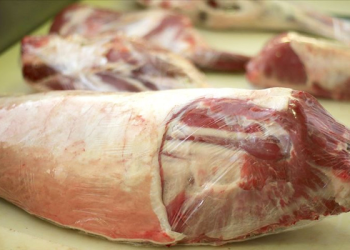 Uzmanlar bayram öncesi uyardı: Salmonella tehlikesine dikkat!