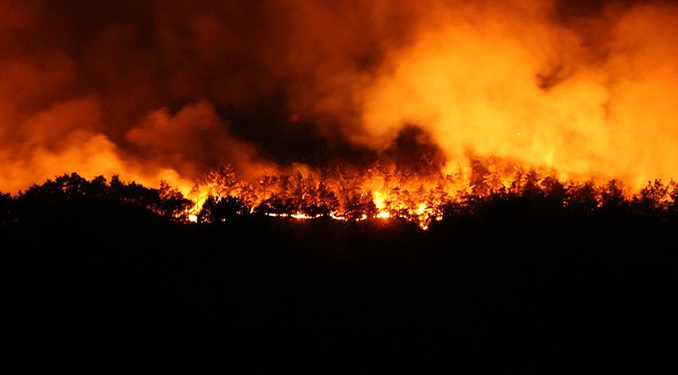 Bakan Yumaklı açıkladı: Bir günde 67 yangın!