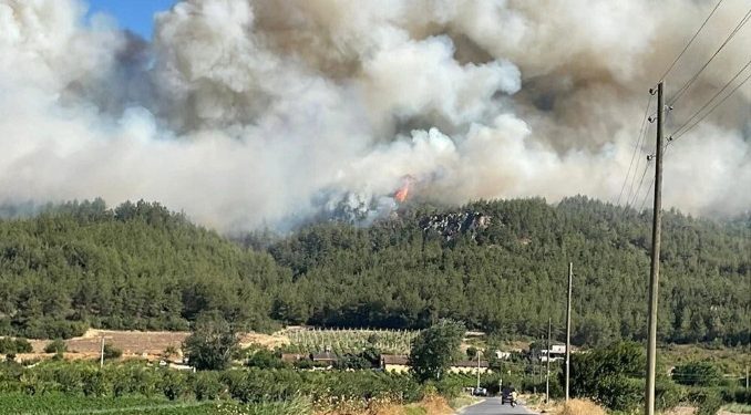3 ilde yangınla mücadele devam ediyor: 1 mahalle tahliye edildi