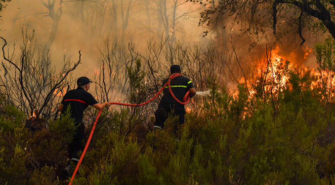 Bakan Yumaklı: 3 ilde yangınlar kontrol altına alındı