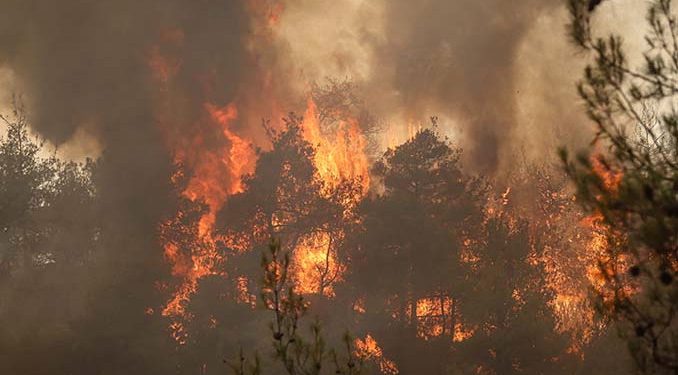 İki kent için ‘afet bölgesi’ kararı!